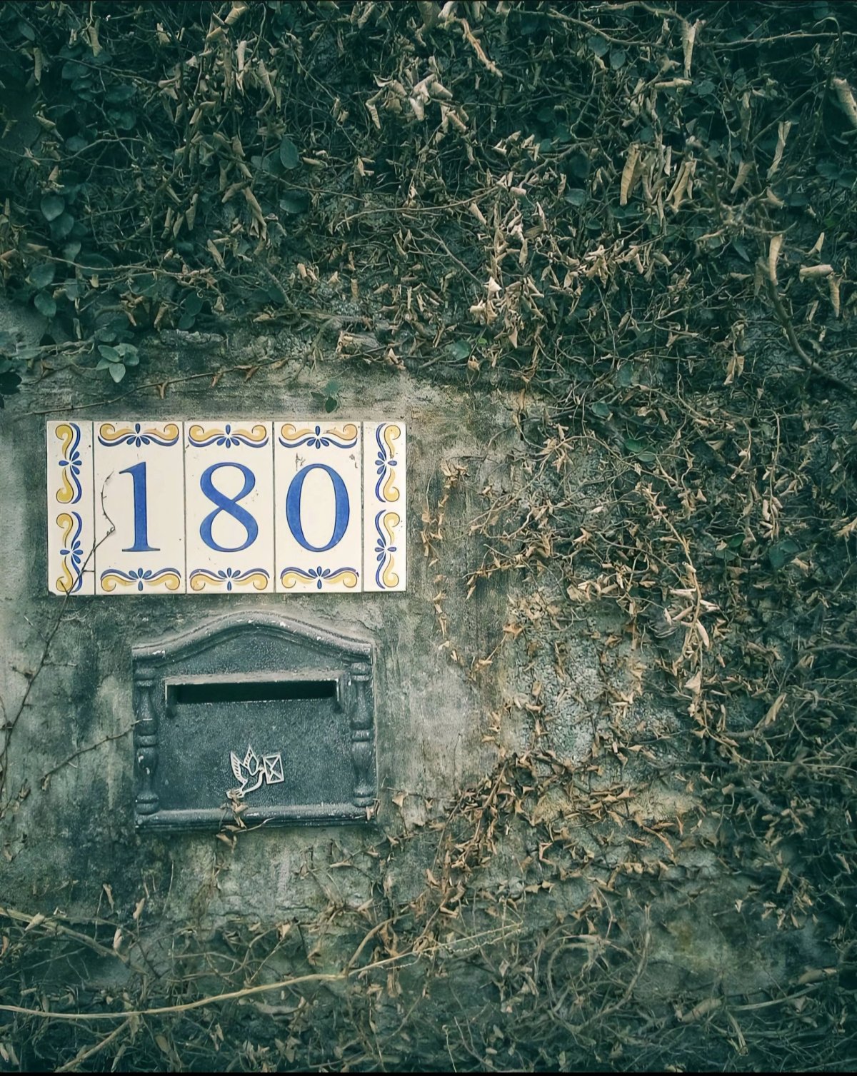 180 written on a surface