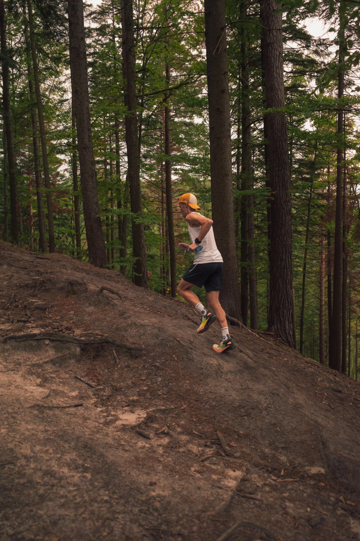 Hill Run