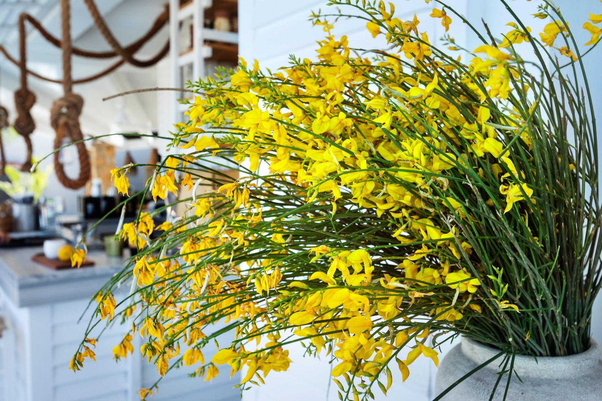 Bar interior detail with fresh flowers at A.bar