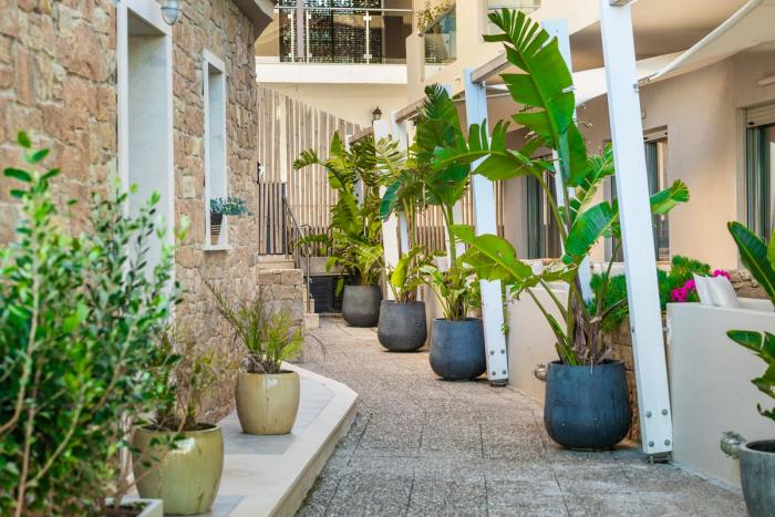 Decorative lanterns and tropical plants on the terrace