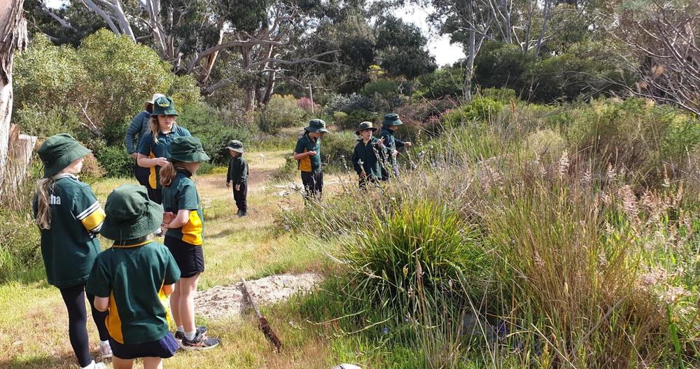 A visit to a native nursery for Pomonal Primary | Project Platypus