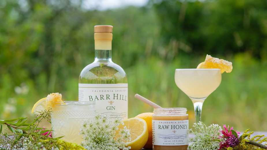 Barr Hill gin and raw honey displayed with citrus garnishes and cocktails in a garden setting.
