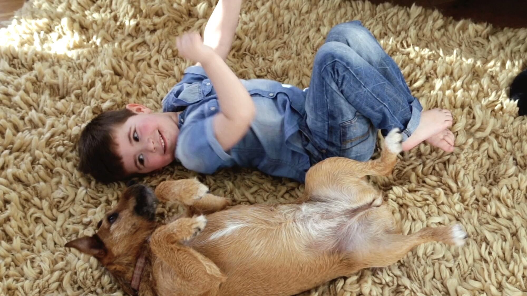 Young child playing with a dog on a living room rug.