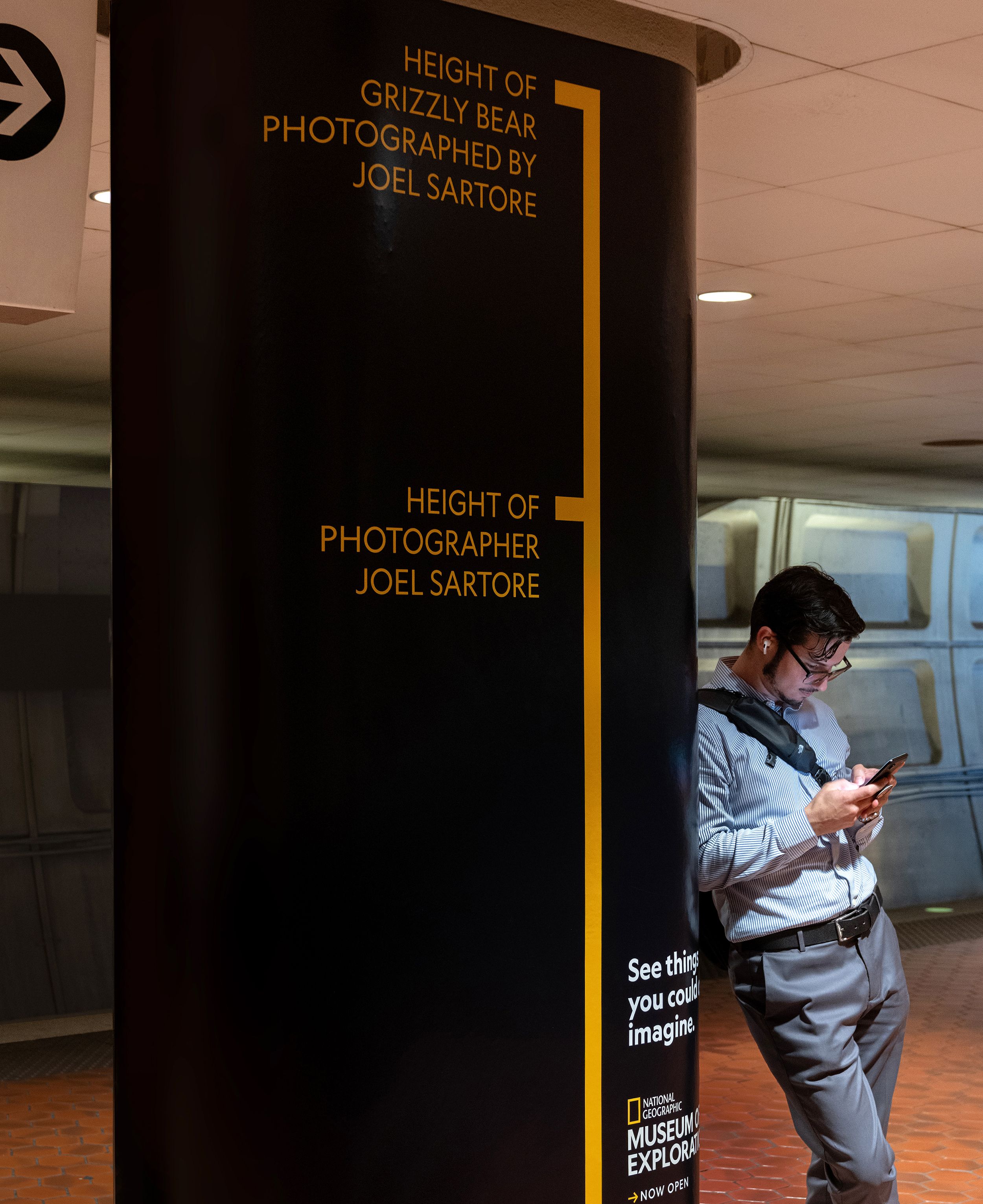 National Geographic Museum of Exploration transit ad comparing the height of a grizzly bear with photographer Joel Sartore.
