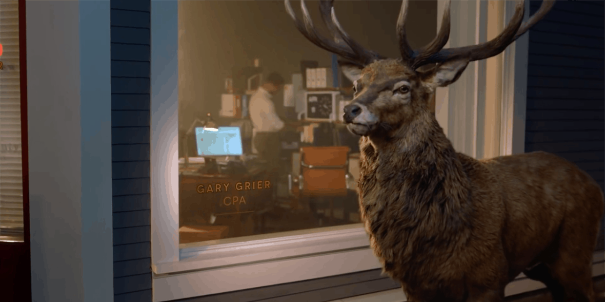 Large antlered deer standing outside an office window in Hartford.