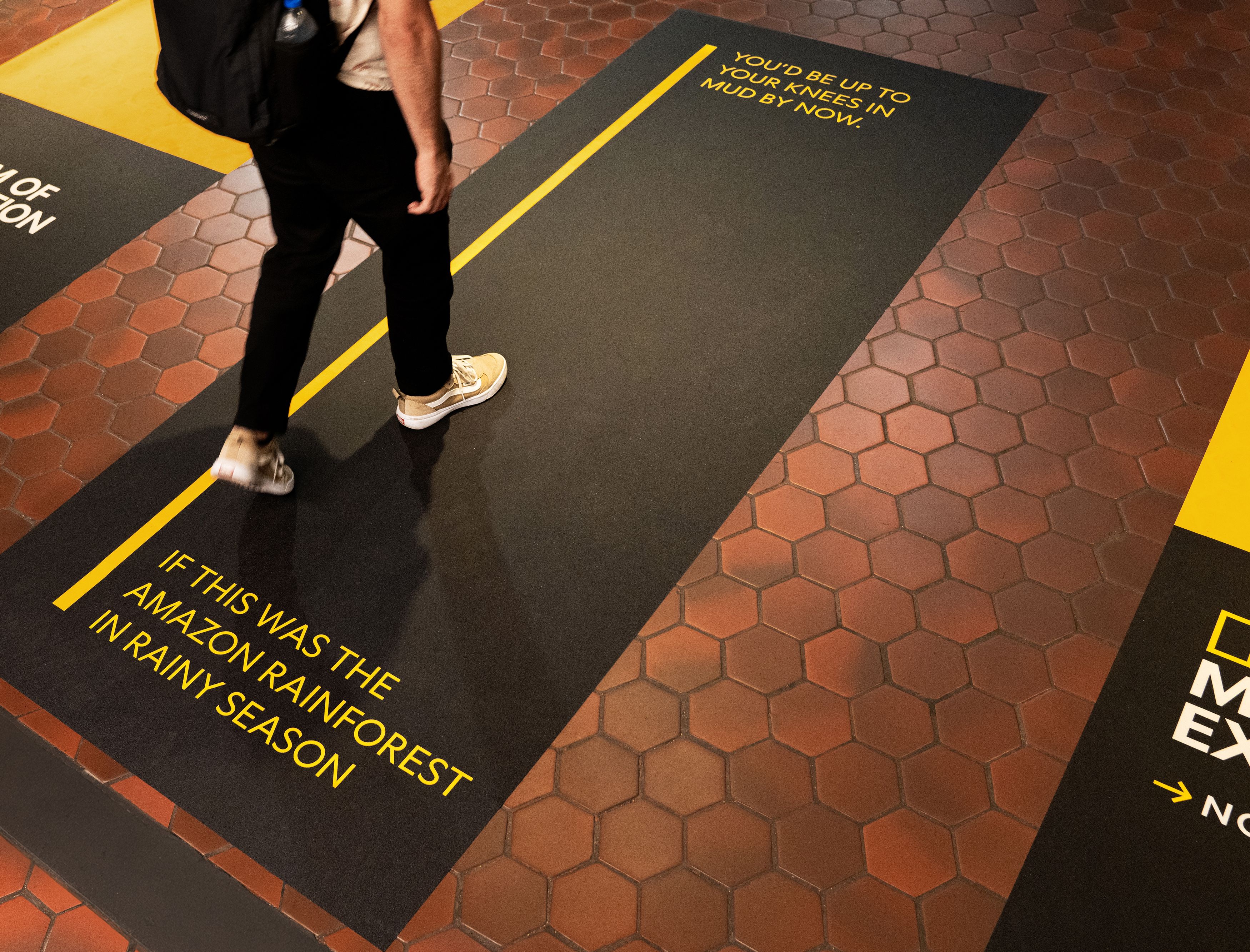 National Geographic Museum of Exploration floor advertisement comparing a rainforest hike to walking across a muddy path.
