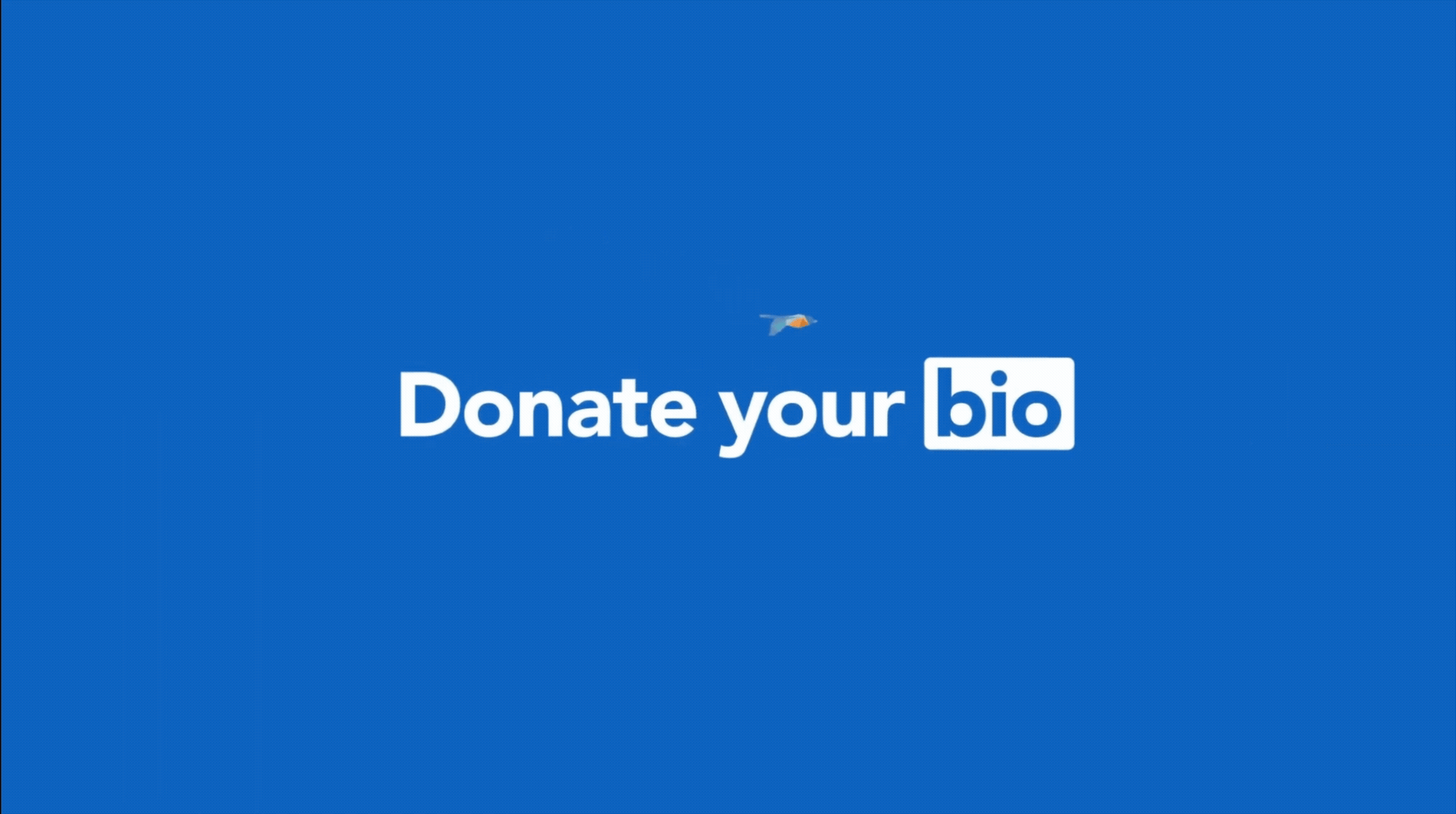 Donate Your Bio campaign graphic about advancing the careers of immigrant women.