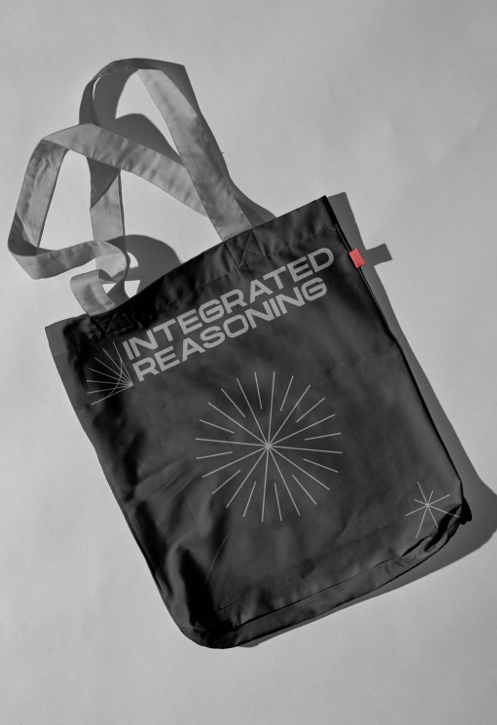 Integrated Reasoning Tote Bag Design by Non-Linear Studio