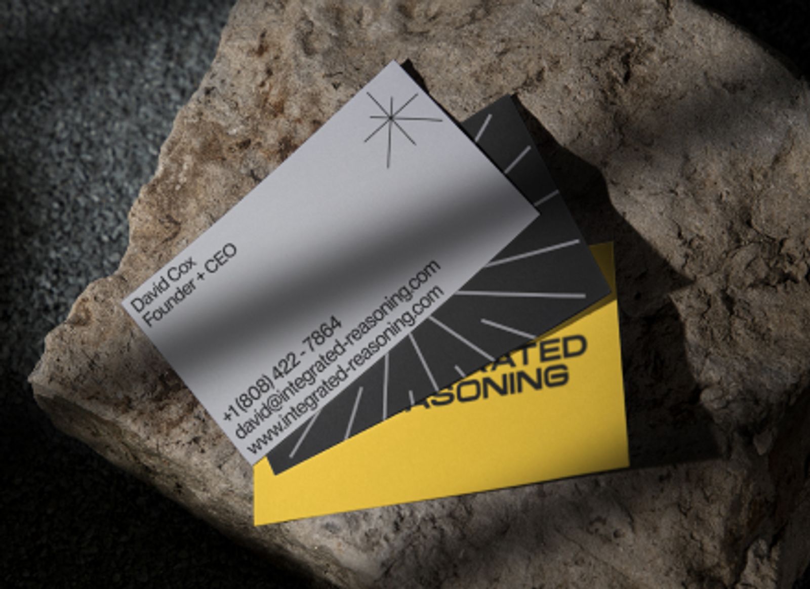 Integrated Reasoning Business Cards Design by Non-Linear Studio