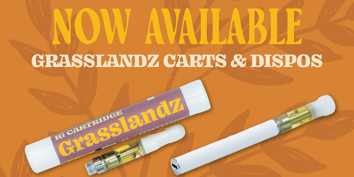 Vaping vs. Edibles: Which Is Right for You?