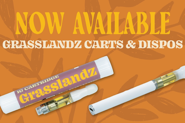 Vaping vs. Edibles: Which Is Right for You?