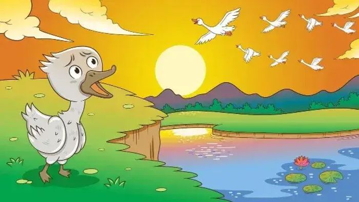 The ugly duckling watching beautiful swans on the pond