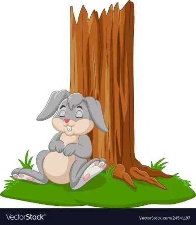 Rabbit and Falling Sky Story