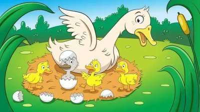 The Ugly Duckling Story