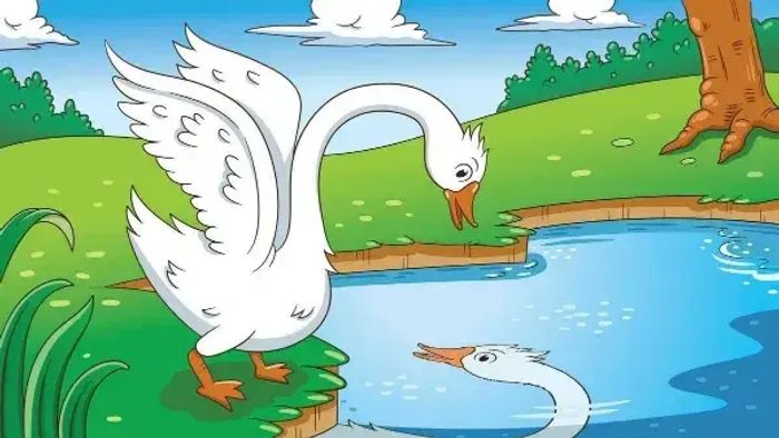The ugly duckling seeing his reflection as a beautiful swan