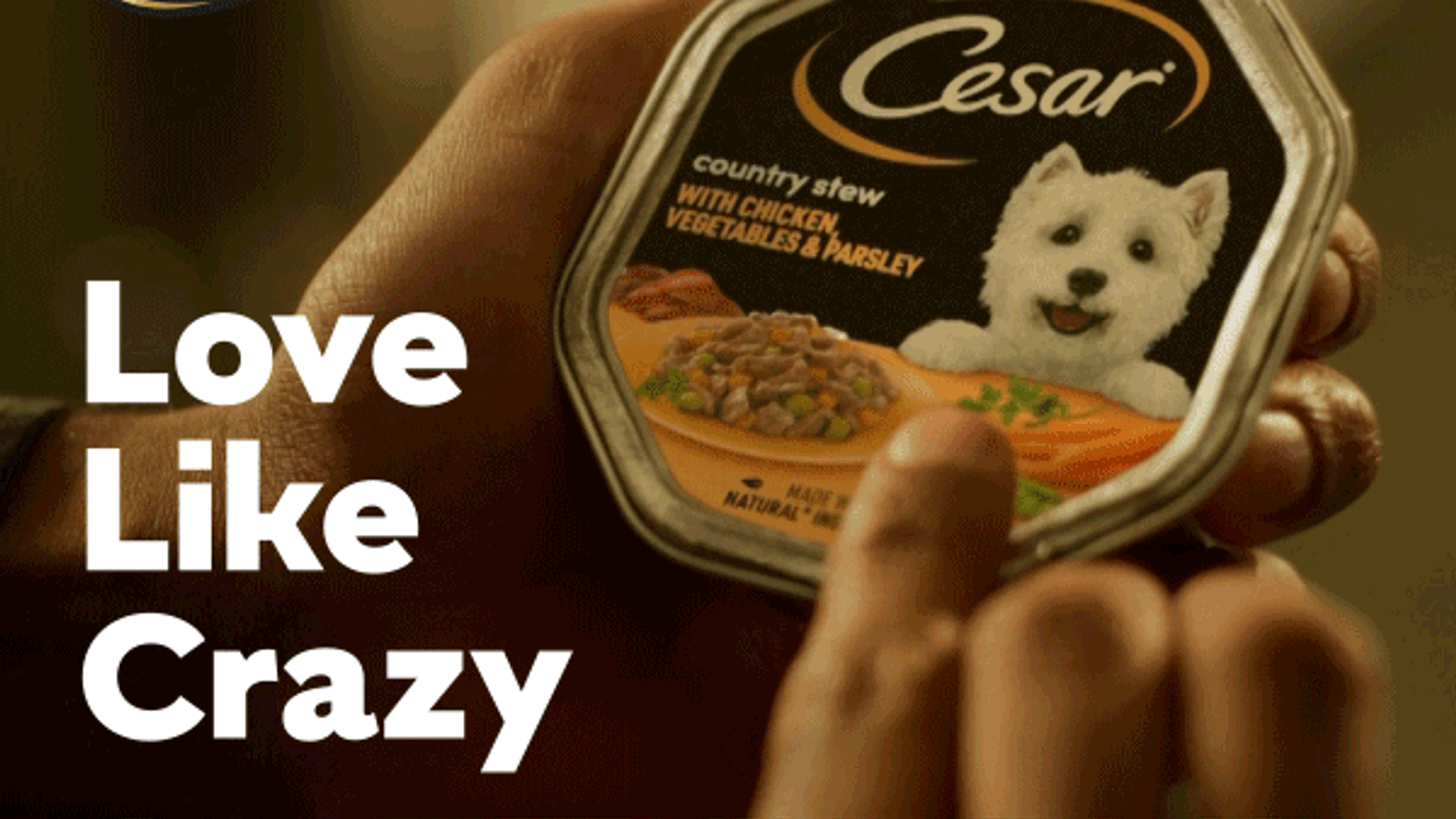 Reigniting Cesar's connection with pet lovers