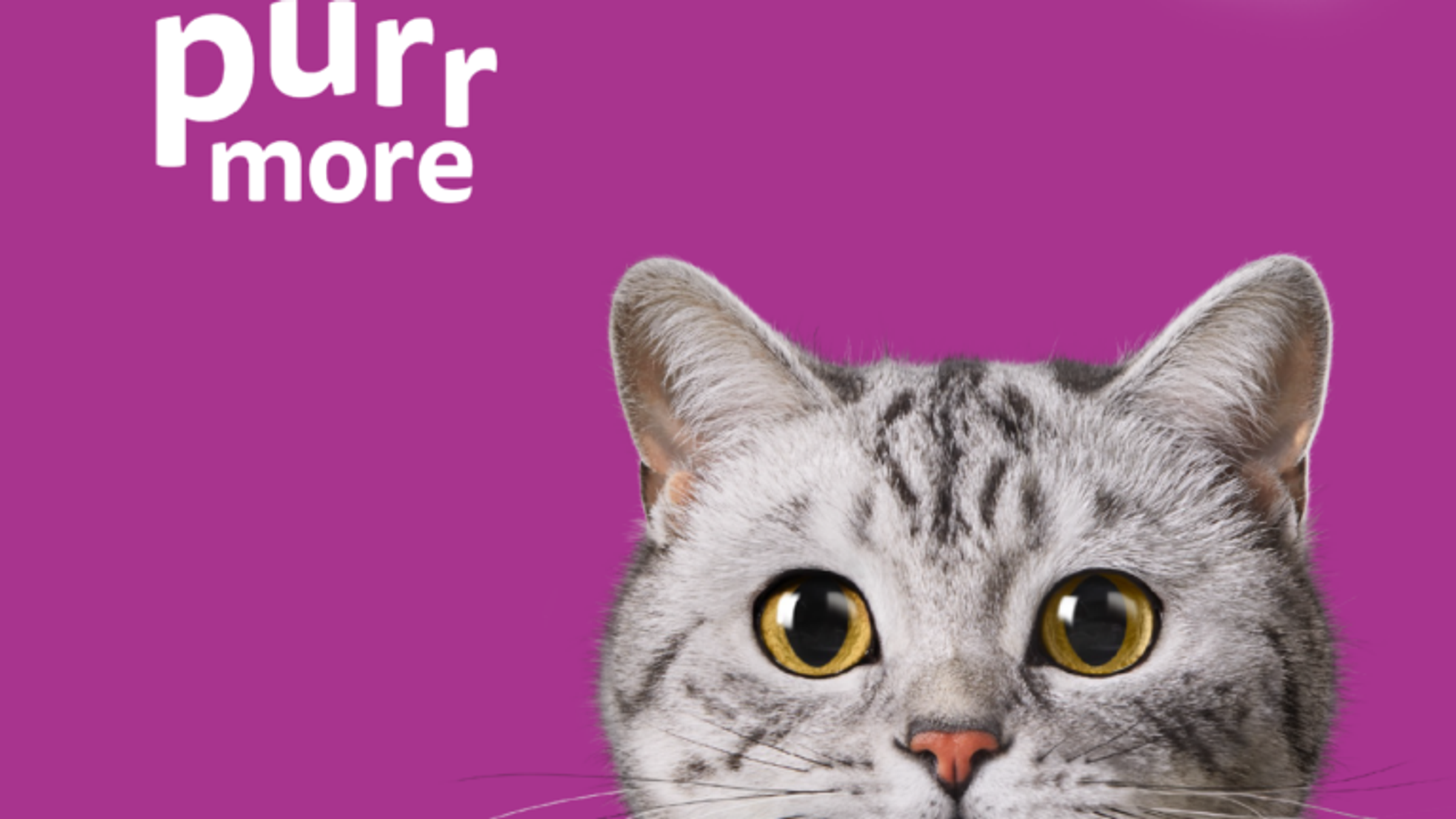 Mars Petcare's transcreation and content marketing transformation