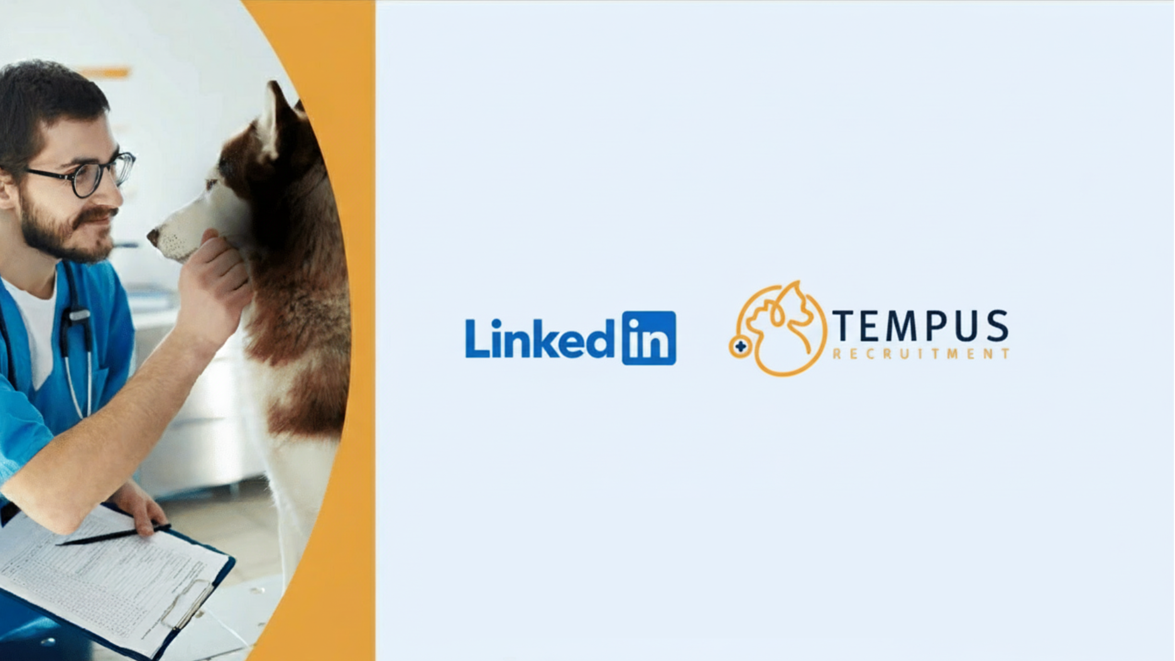 LinkedIn: amplifying customer case studies through programmatic ads