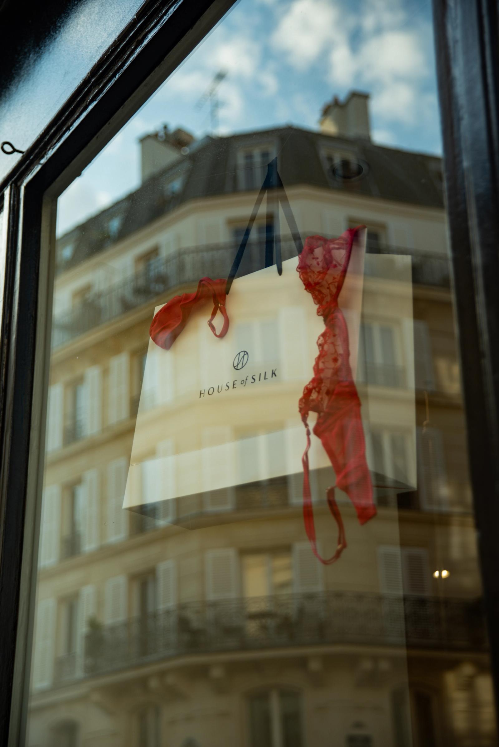House of Silk