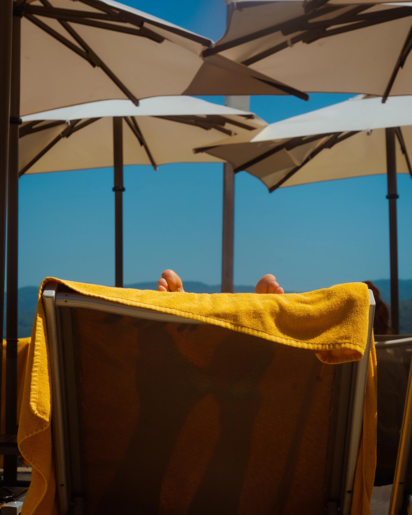 Comme l'amour l'été reviens toujours