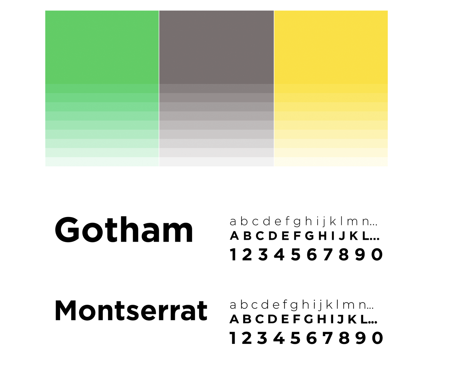 ECO DIREITO portfolio material 3