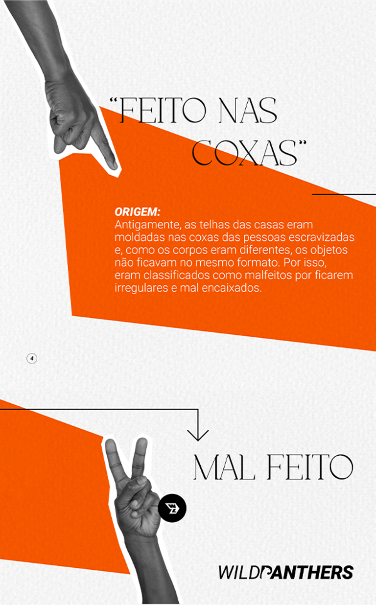 WILDLIFE portfolio material 8