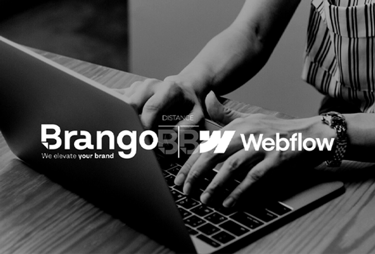 BRANGO portfolio material 6