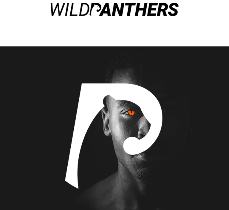 WILDLIFE portfolio material 1