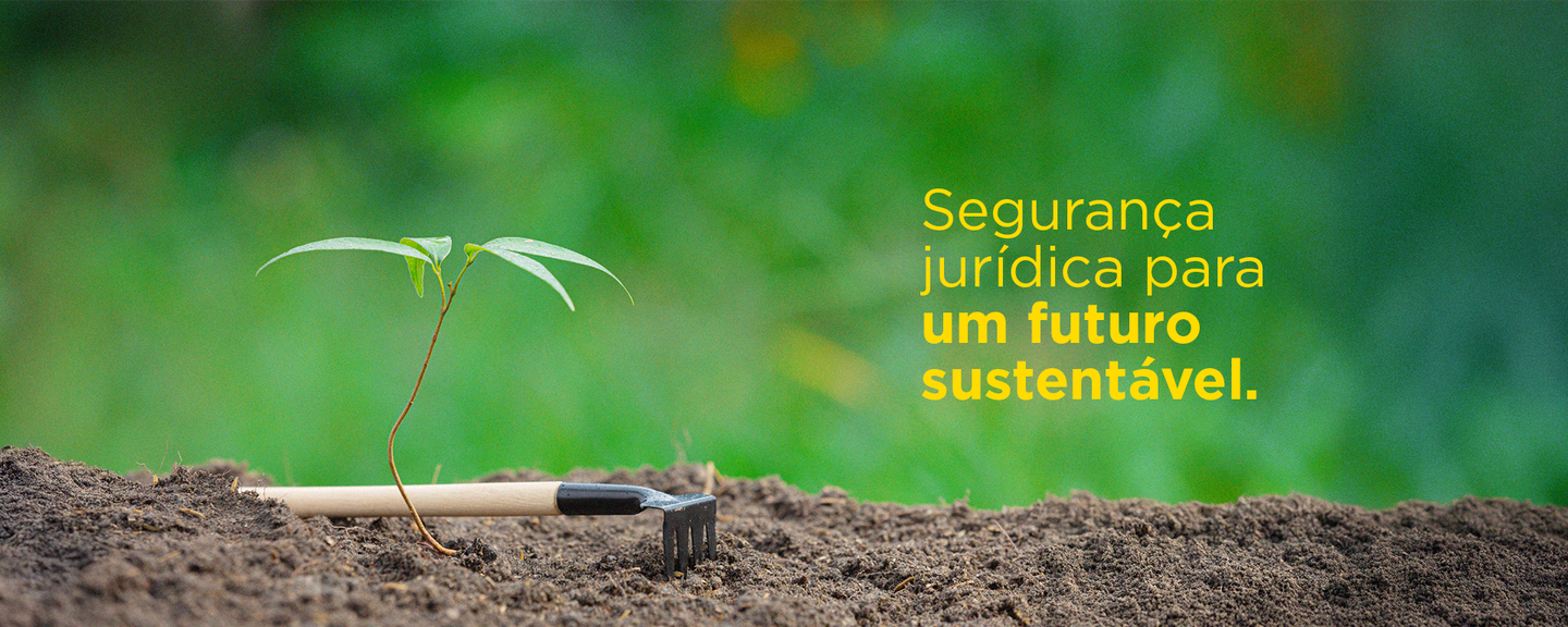 ECO DIREITO portfolio material 4