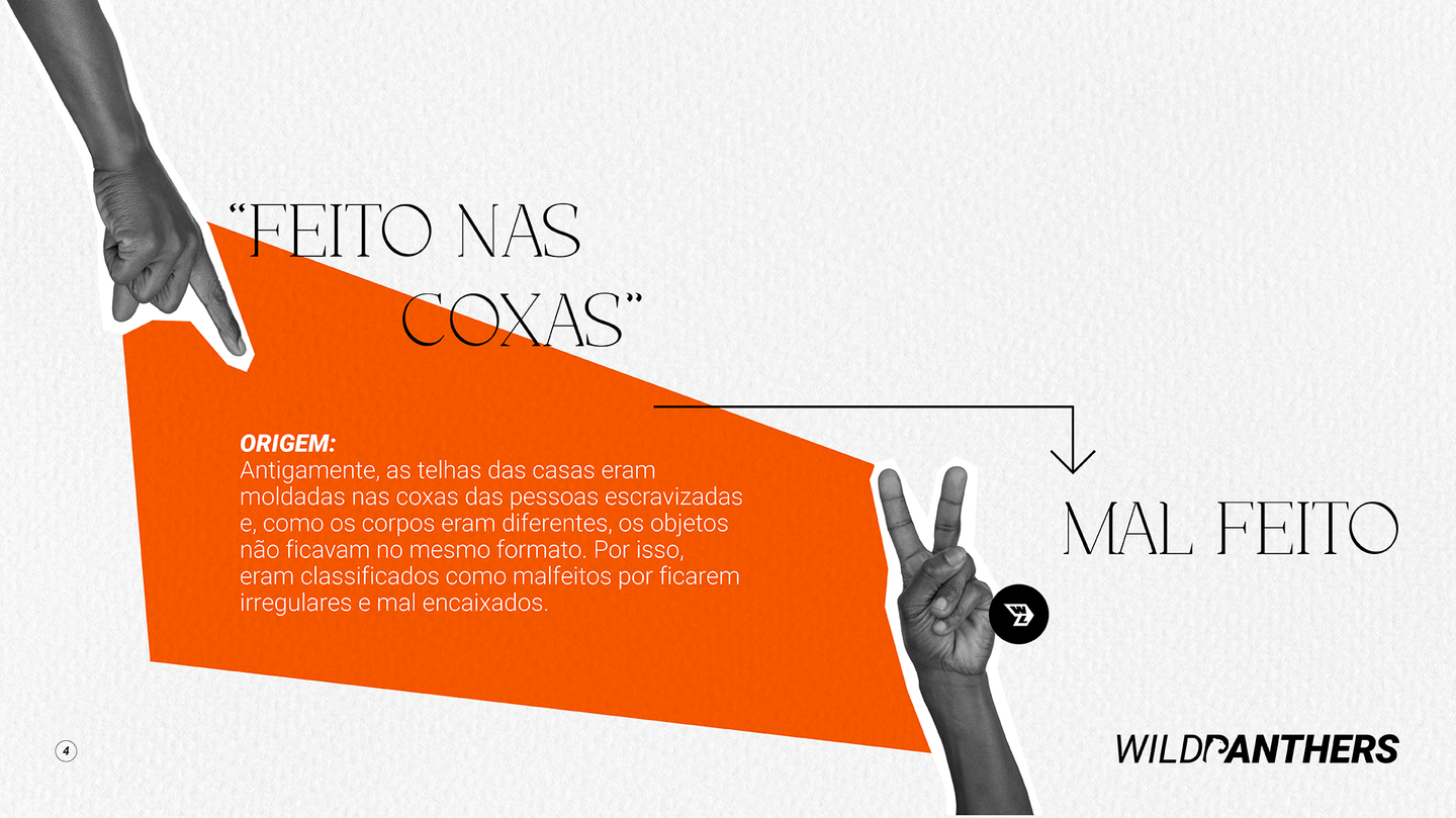 WILDLIFE portfolio material 8