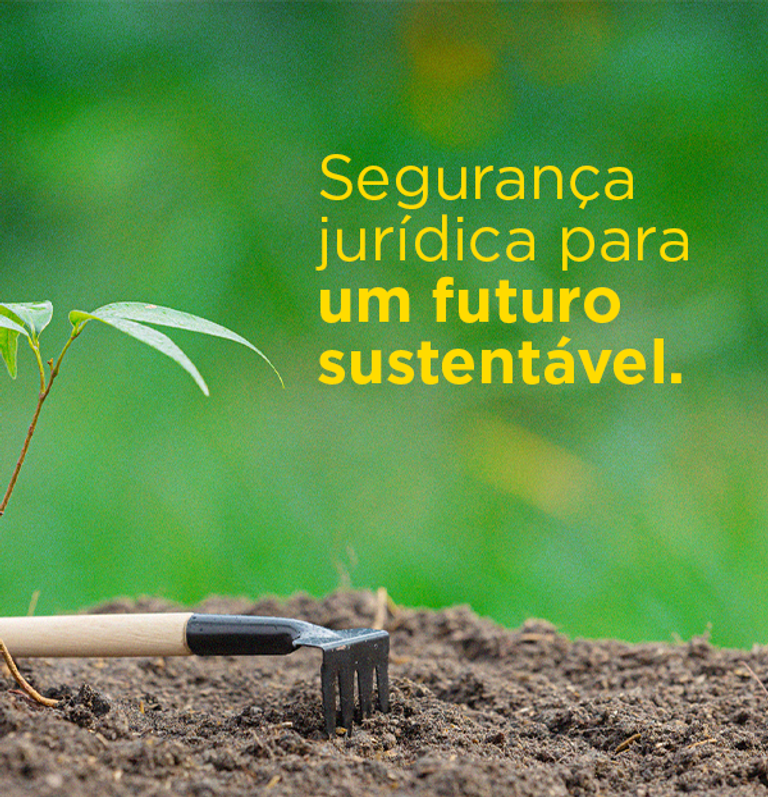 ECO DIREITO portfolio material 3