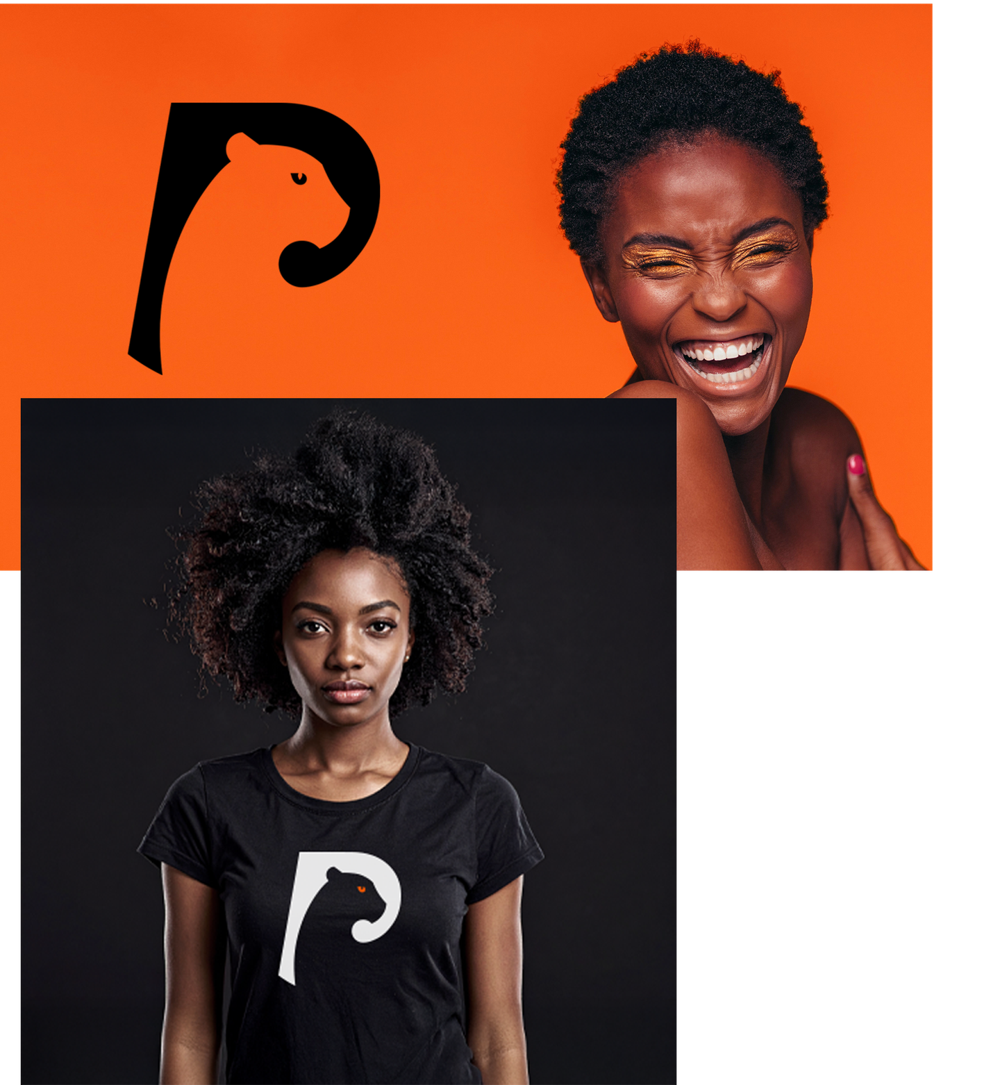 WILDLIFE portfolio material 3