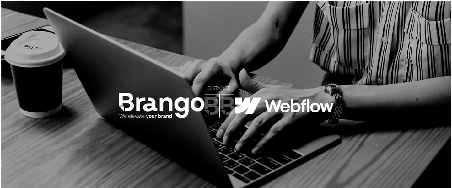 BRANGO portfolio material 5