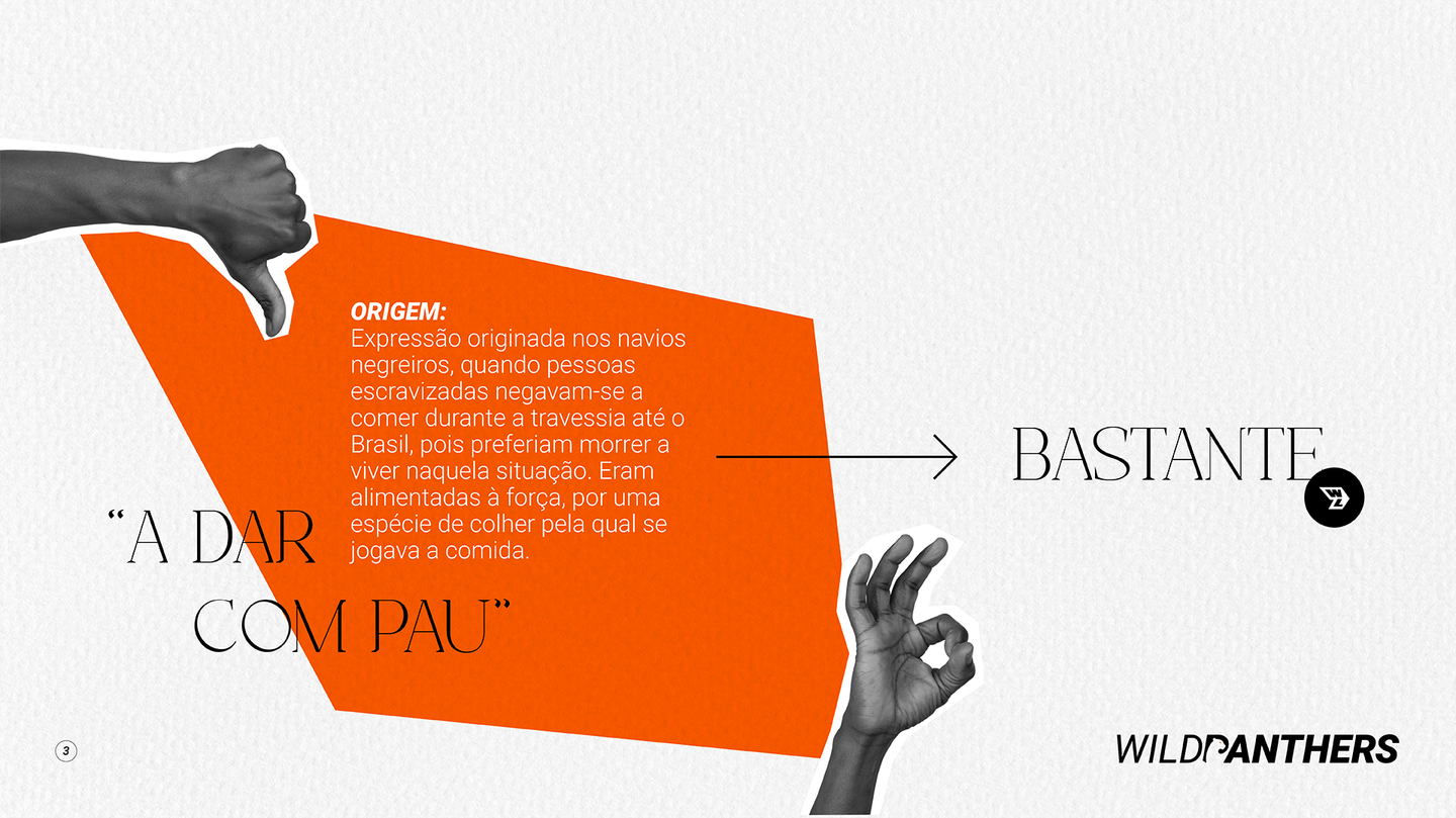 WILDLIFE portfolio material 7