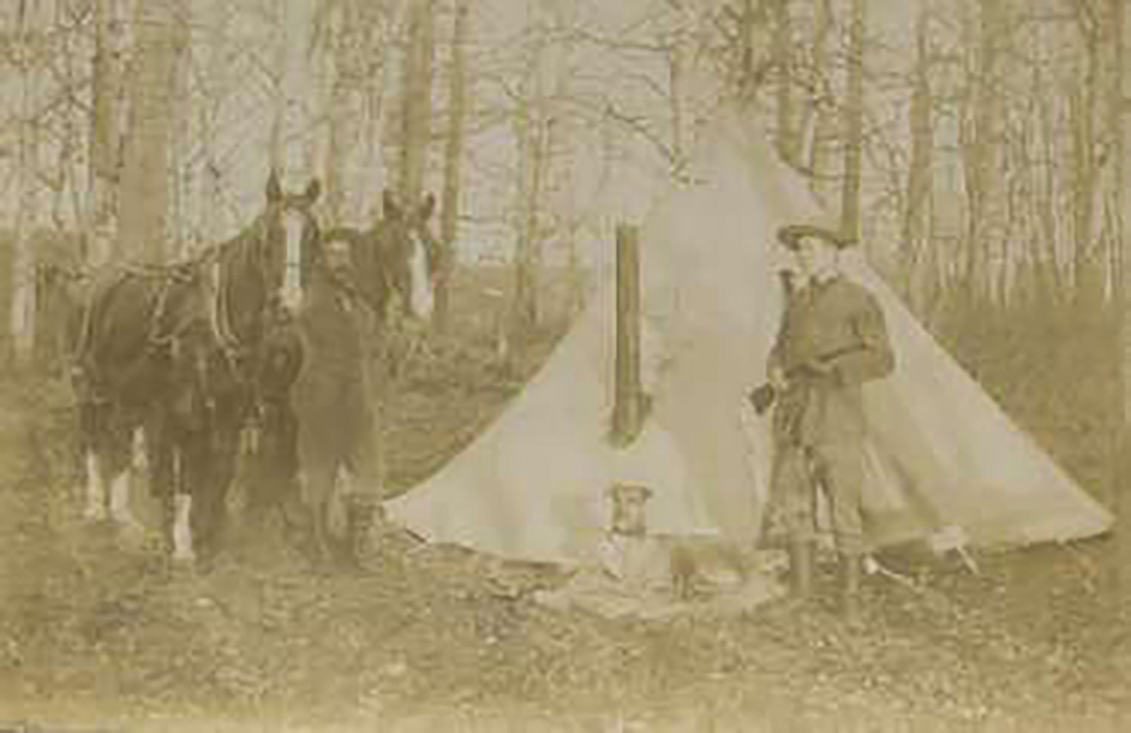 wigmore with horses and tent