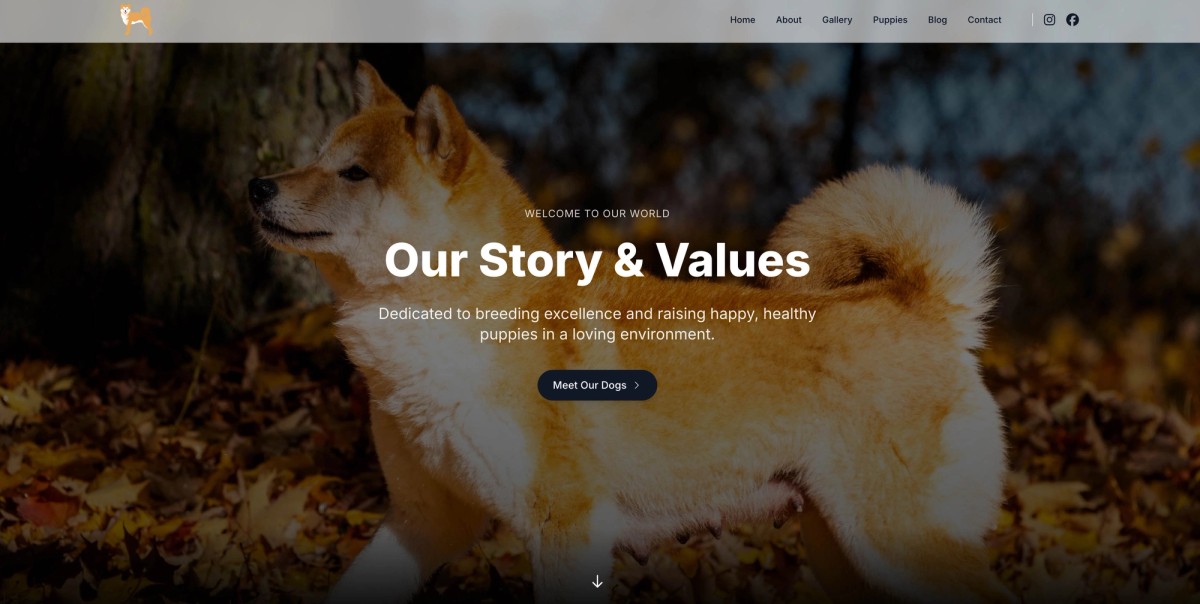Featured image for Transform Your CKC Dog Breeding Program with a Cutting-Edge Website