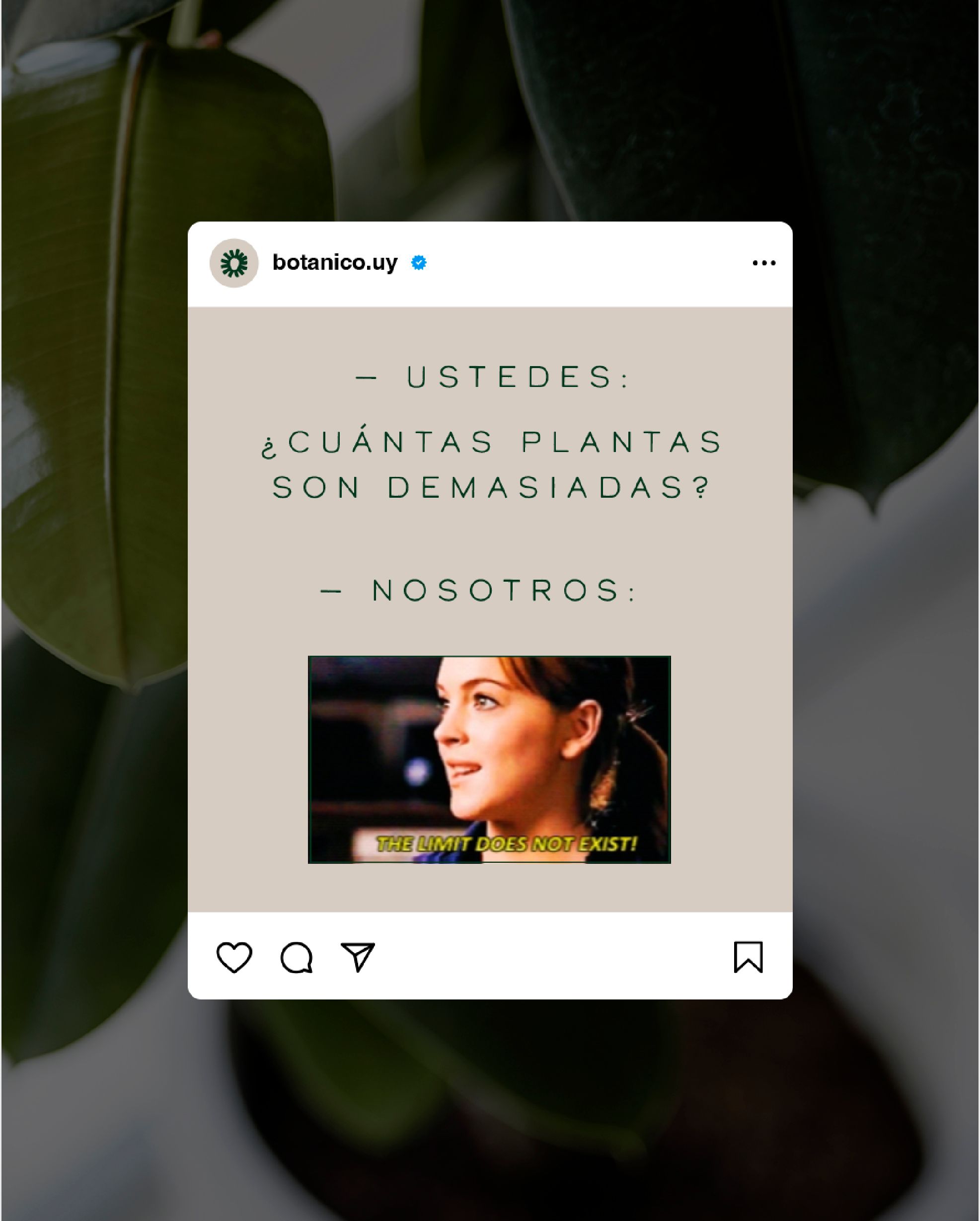 Botánico - Imagen