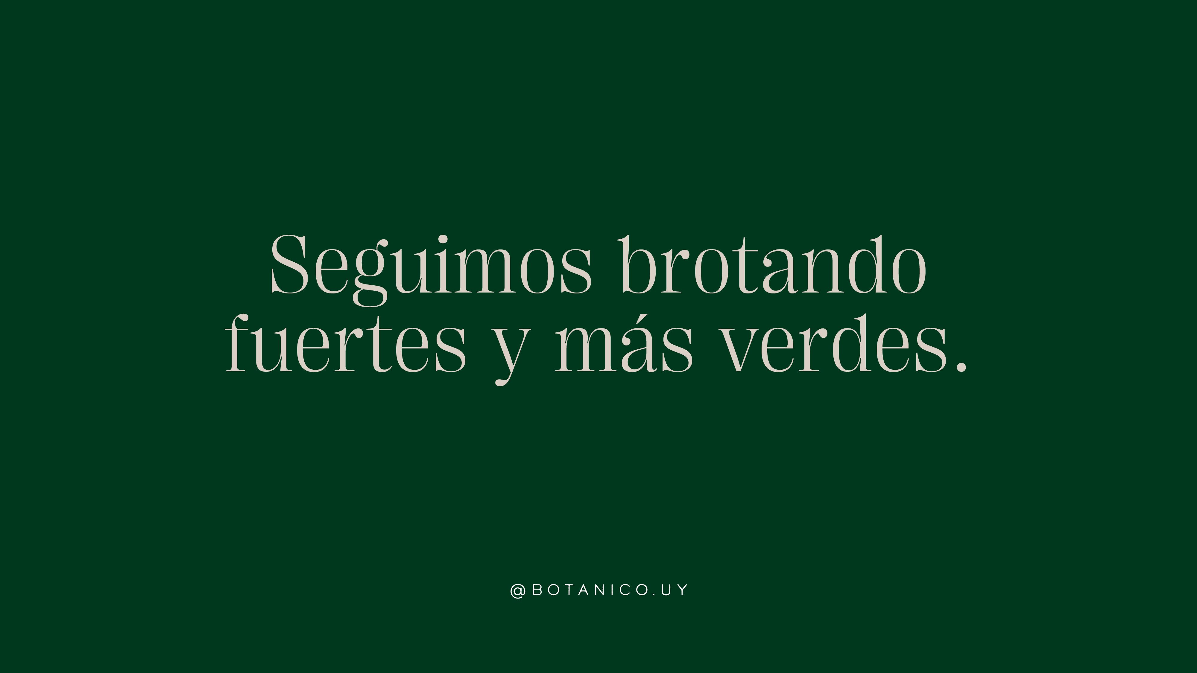 Botánico - Imagen