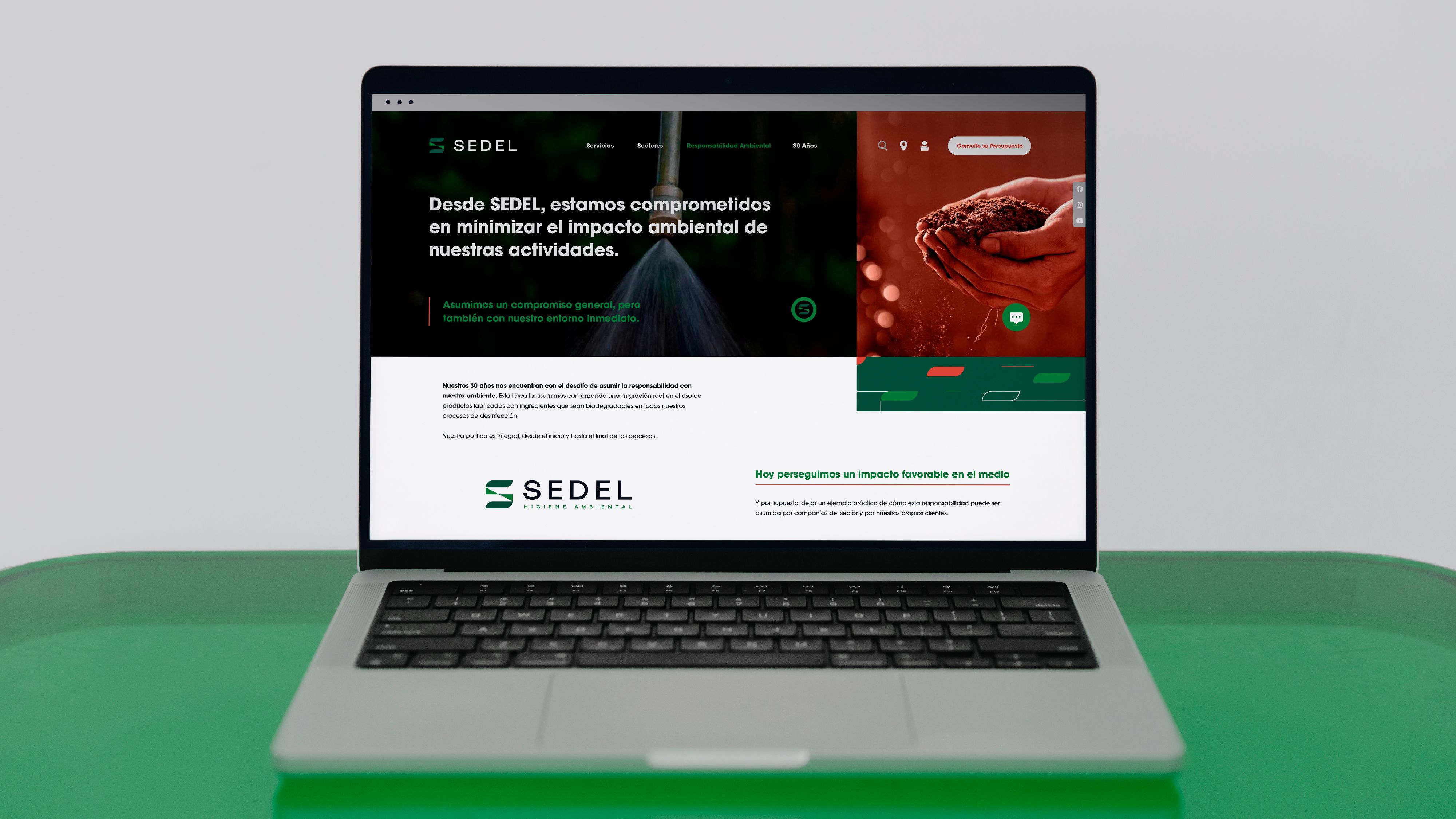 Sedel - Imagen