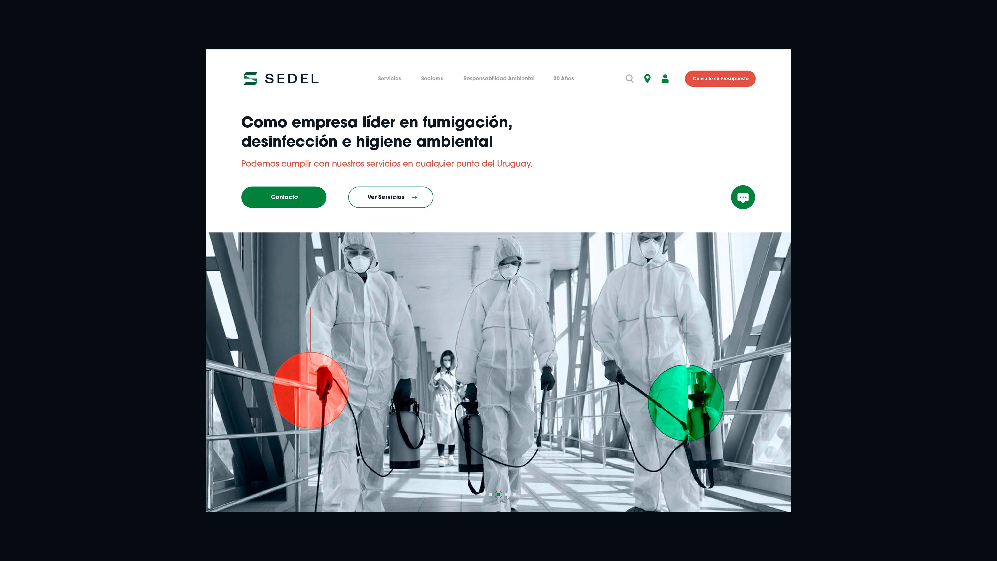 Sedel - Imagen