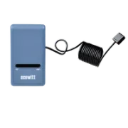 Ecowitt GW1100 WiFi Gateway