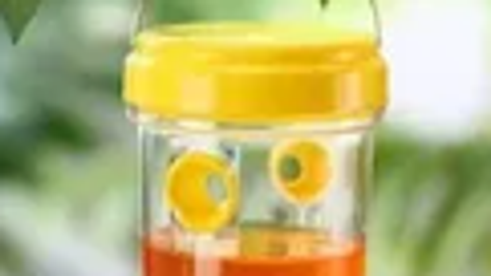 Sukkos Must-Have: Bee traps for only $13!