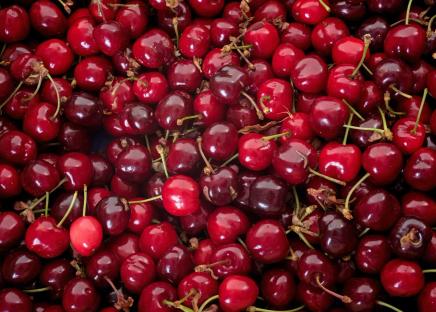 Cerises vauclusiennes