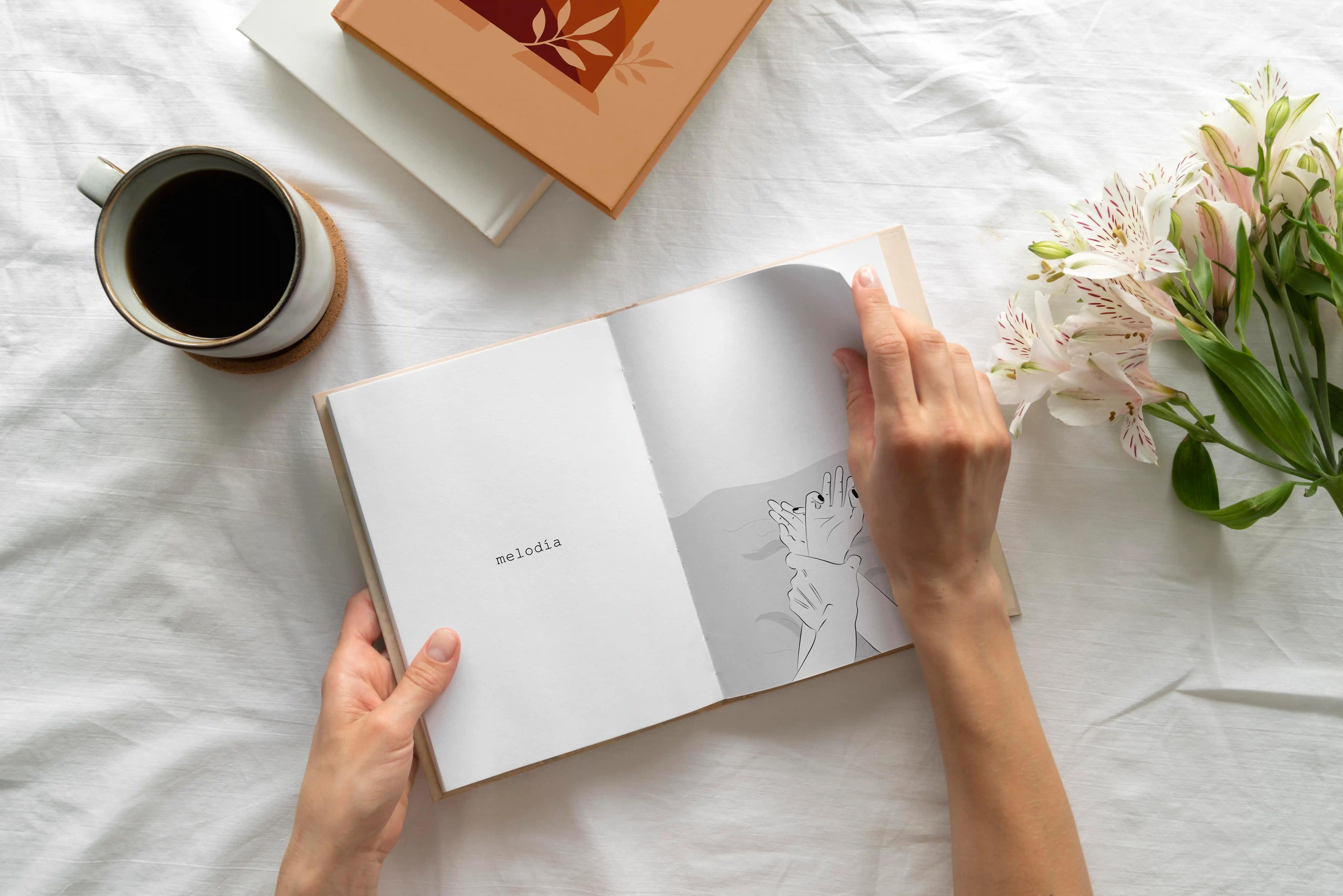 Libro Ilustrado