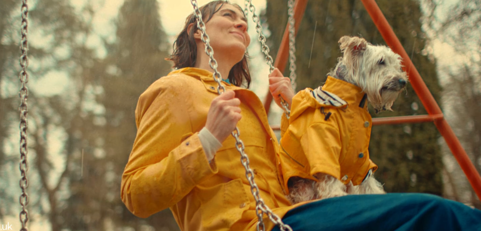 [yellow tail]