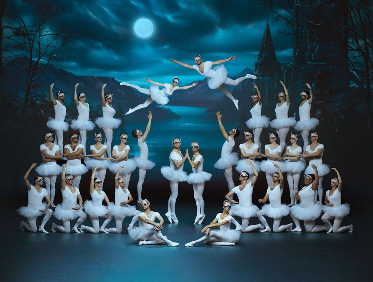swans