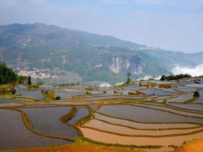 Yuanyang Rice Terraces - Bada