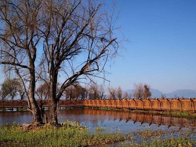 Wangguan Wetland Park