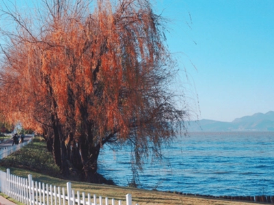 Ancient Dian Boutique Wetland Park