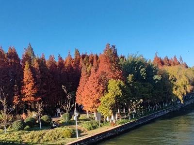 Haihong Wetland Park